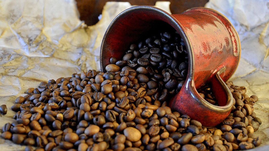 pentingnya sortir ukuran biji sebelum sangrai