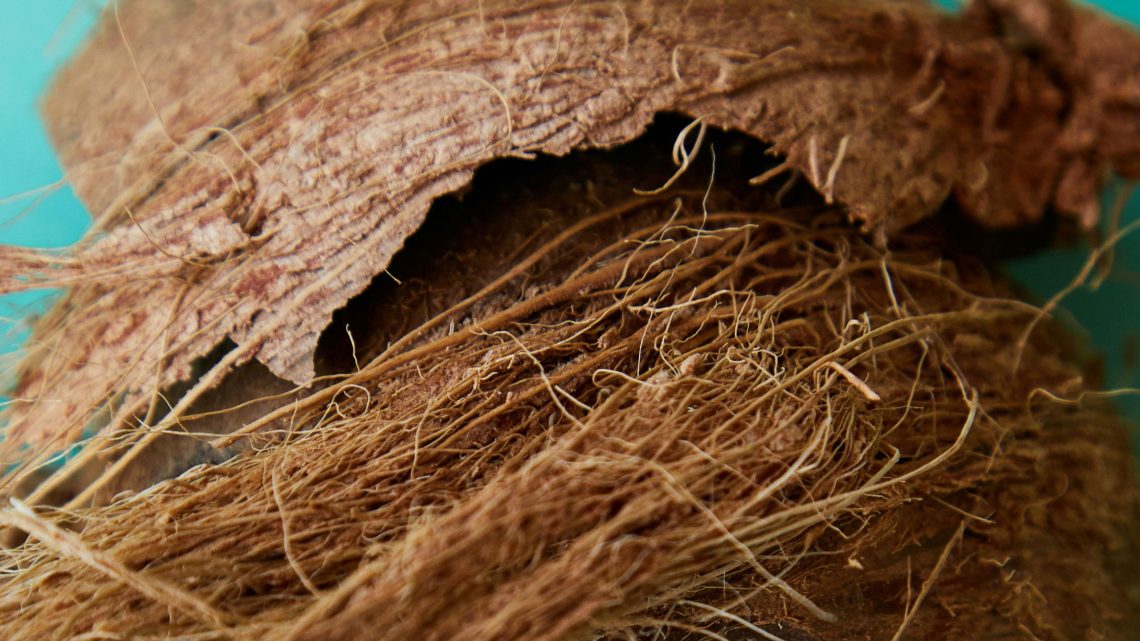 inovasi sabut kelapa untuk lingkungan