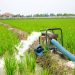 Usaha pompa air untuk sawah