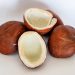mesin pembuat kopra kelapa