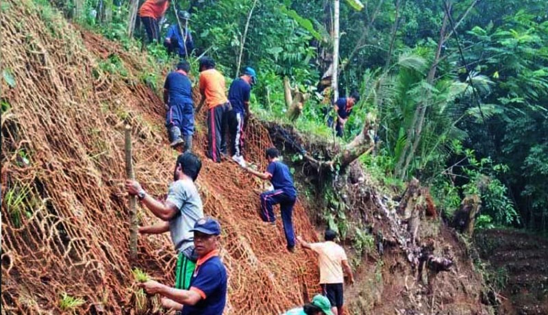 Sabut kelapa sebagai lapisan tanah anti erosi