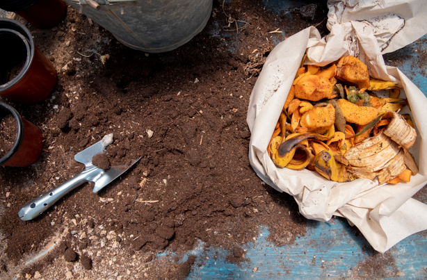 cara bikin sampah biopori