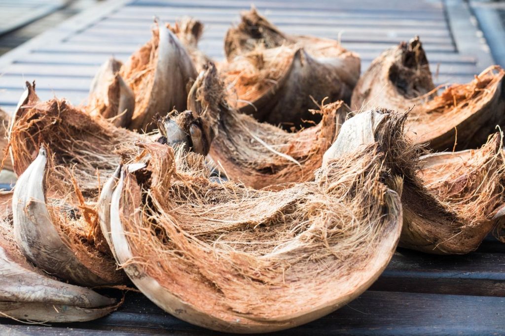 Sabut kelapa sebagai solusi limbah berkelanjutan