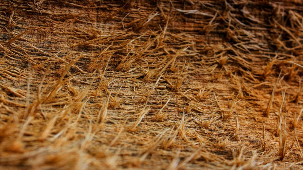 Serat Sabut Kelapa Ramah Lingkungan