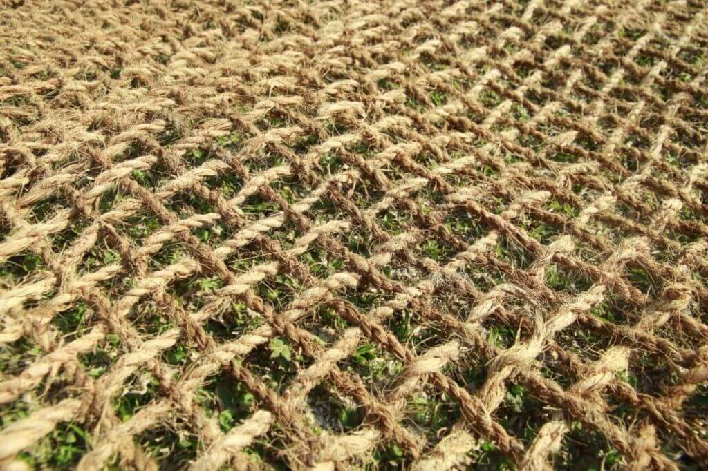 Cocomesh Indonesia Diminati Negara Tropis Dunia