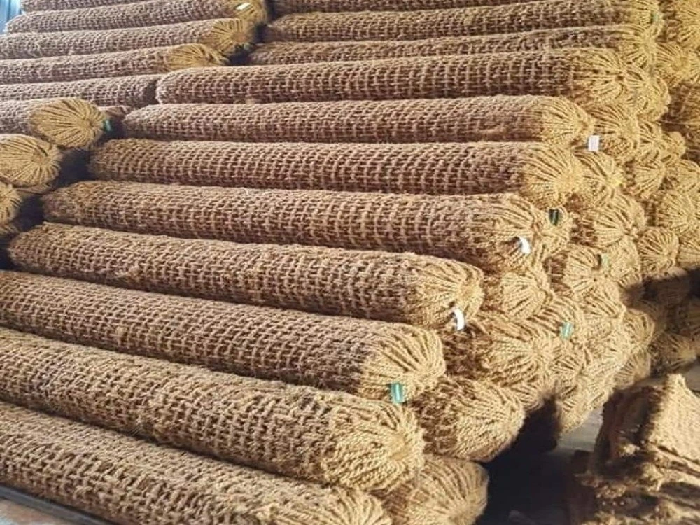 Potensi Ekspor Cocomesh ke Negara Tropis