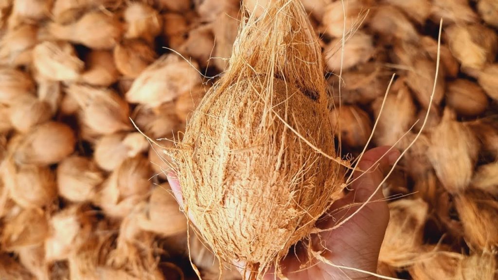 Fungsi Serat Sabut Kelapa Organik