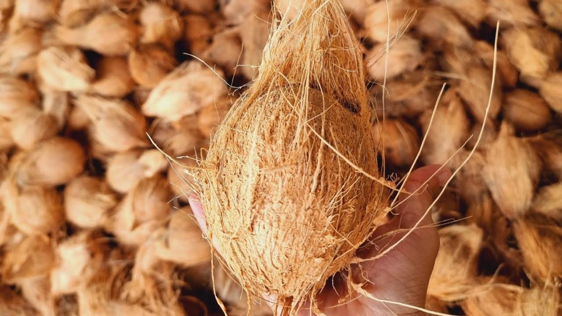 Fungsi Serat Sabut Kelapa Organik