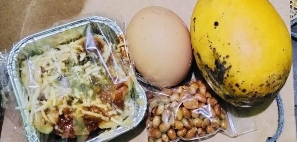 temuan menu mbg tidak layak