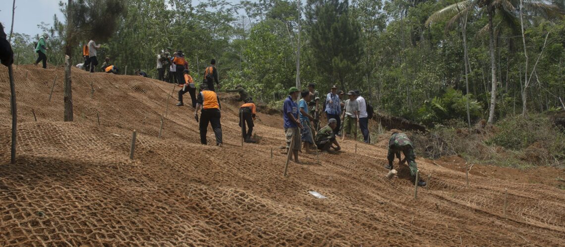Sabut Kelapa Penutup Lahan Kritis